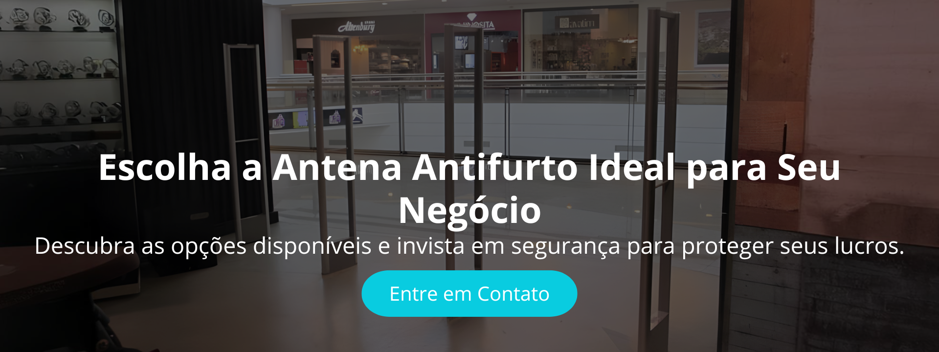 Descubra as opções disponíveis e invista em segurança para proteger seus lucros.